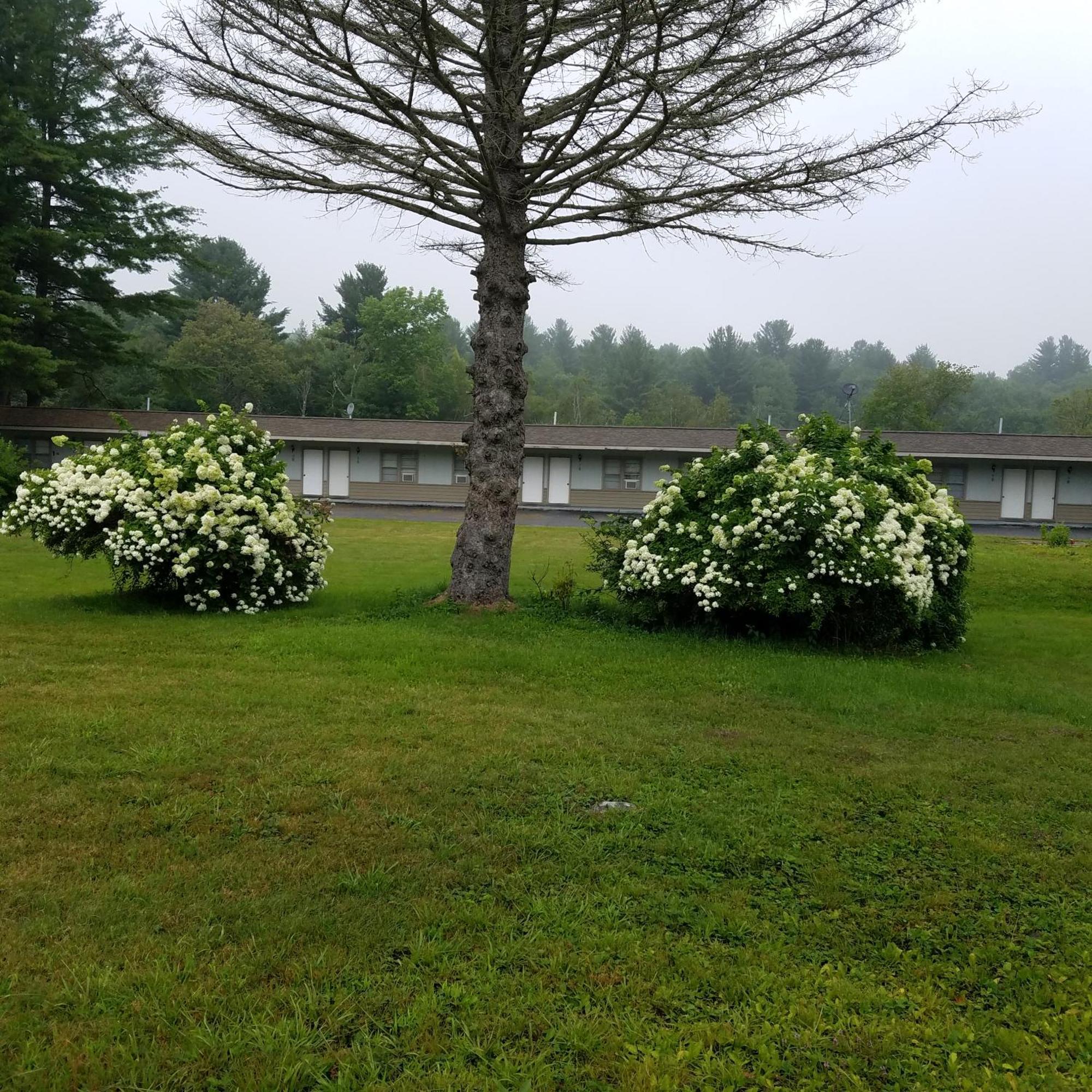 The Becket Motel Exterior photo